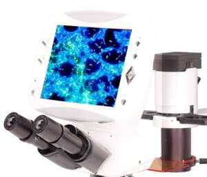 BIM500P Polarized Biological Inverted Microscope 40x-400x-10706