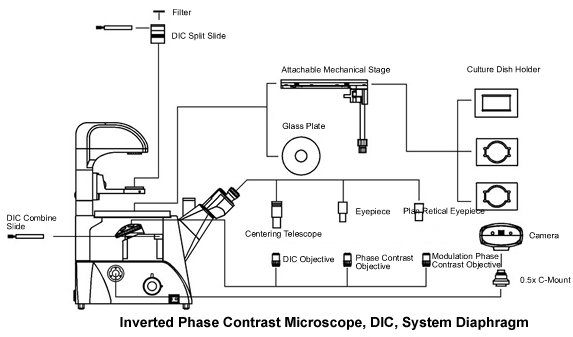 BIM750DIC Inverted Biological Microscope with DIC Nomarski Ph-70659