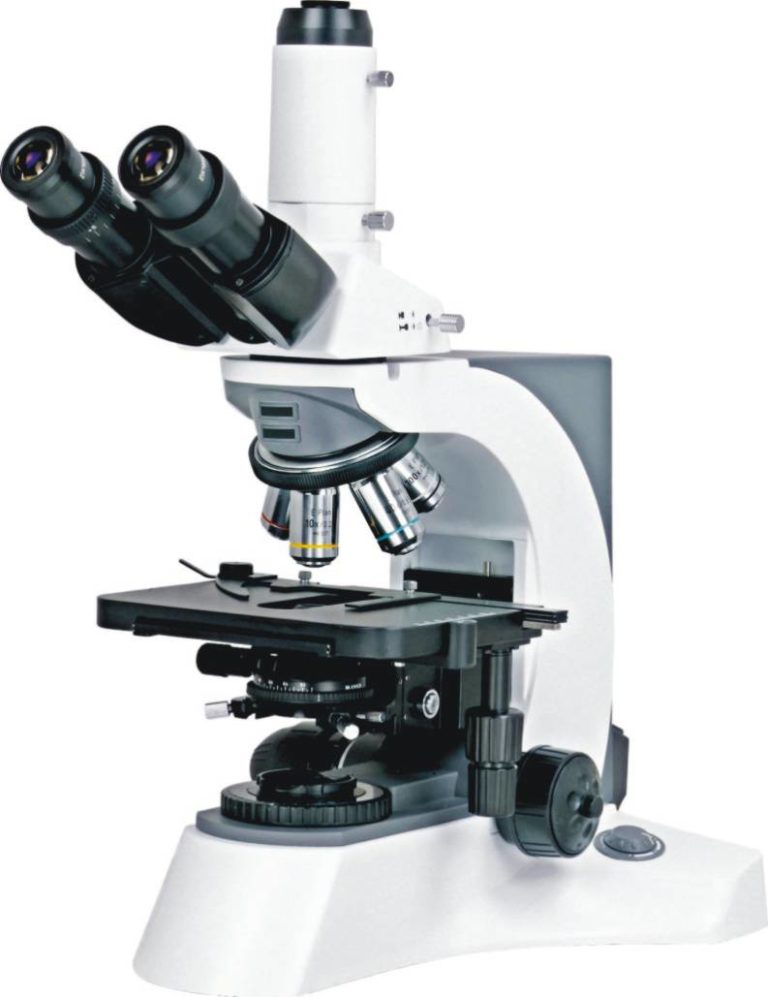 BUM500A Fully Motorized Auto-Focus Biological Microscope