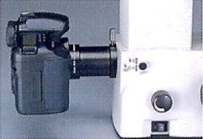 binocular/ma869_2.jpg