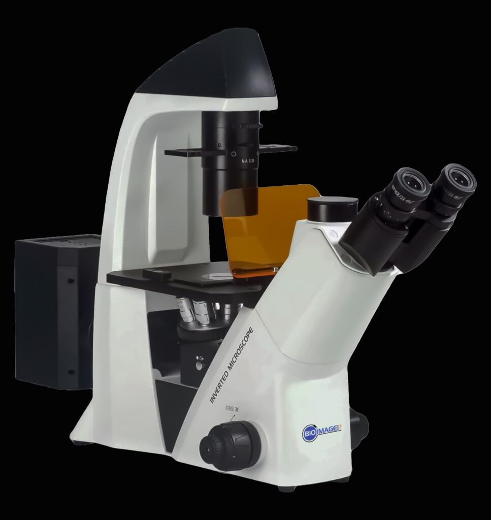 Bim640fl Inverted Biological Microscope