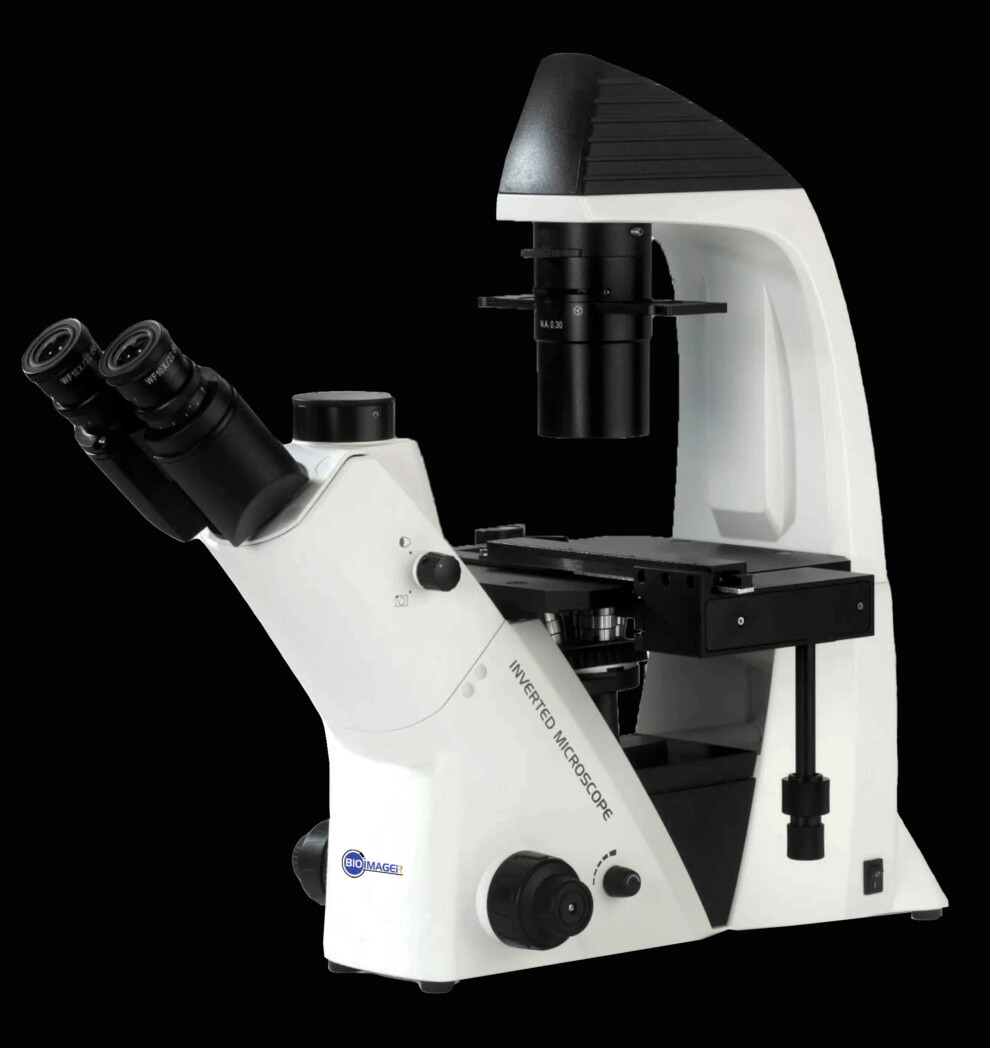 Bim640fl Inverted Biological Microscope